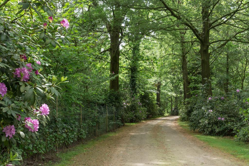 Bungalowpark Vogelenzang Villa Lage Mierde Exterior foto