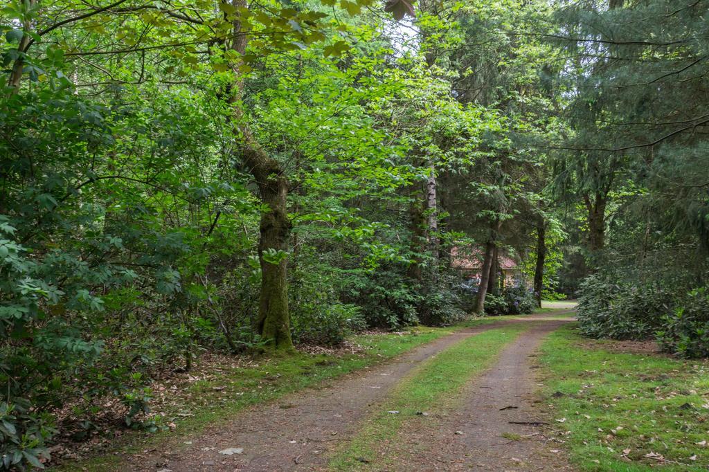 Bungalowpark Vogelenzang Villa Lage Mierde Exterior foto