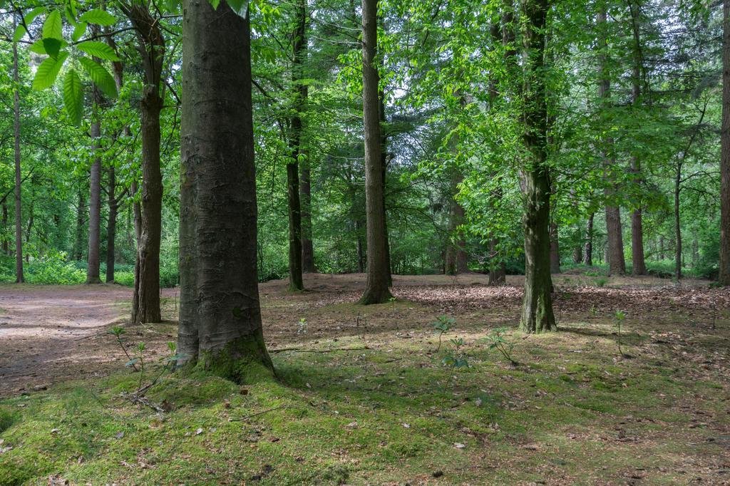 Bungalowpark Vogelenzang Villa Lage Mierde Exterior foto