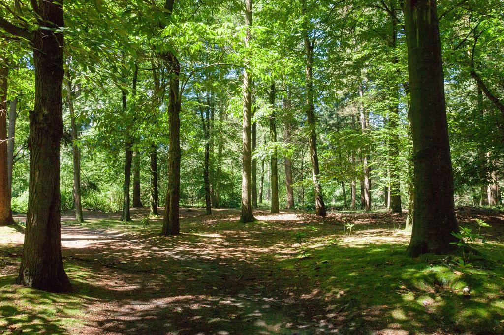 Bungalowpark Vogelenzang Villa Lage Mierde Exterior foto